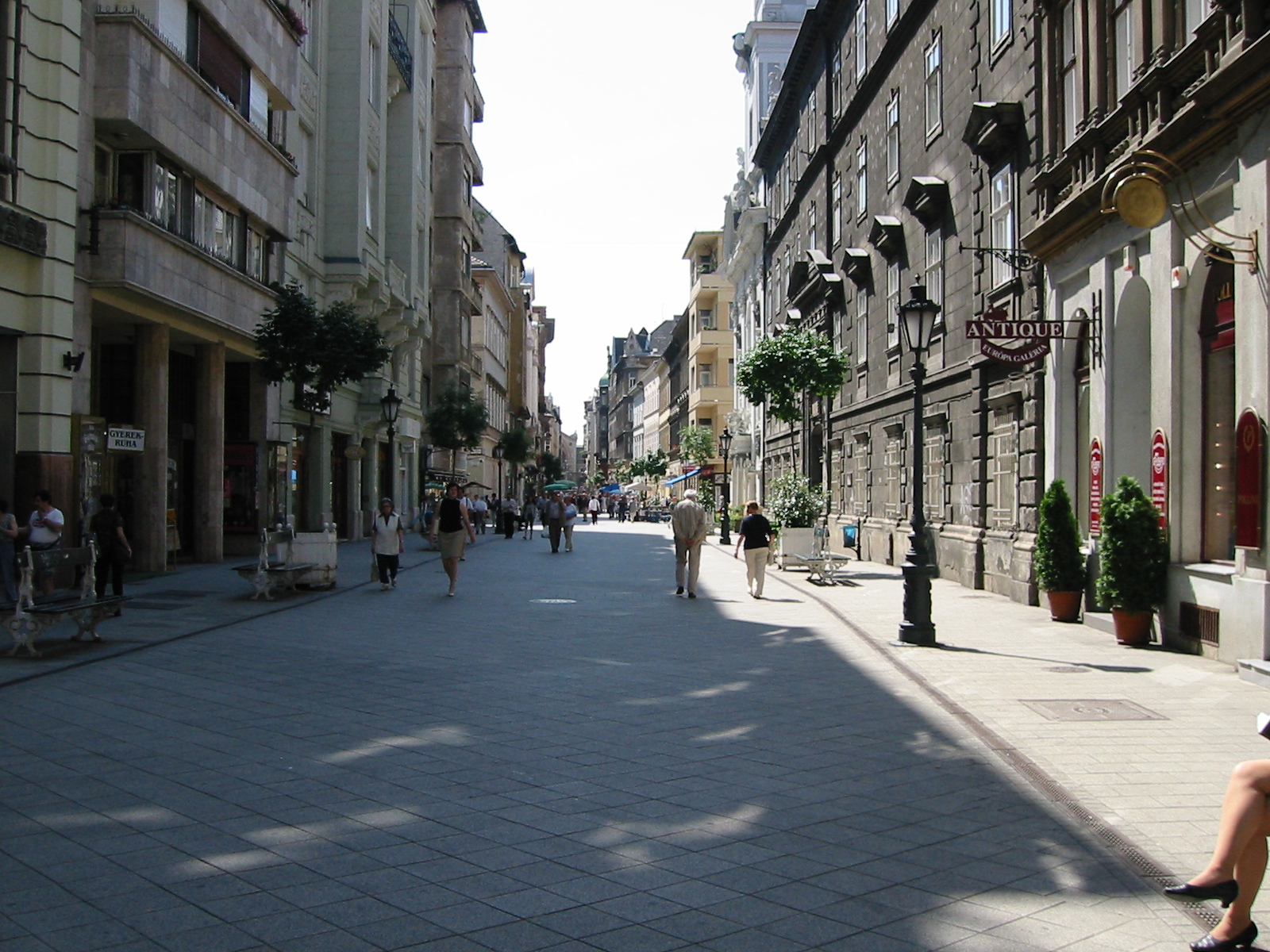 buda3.JPG