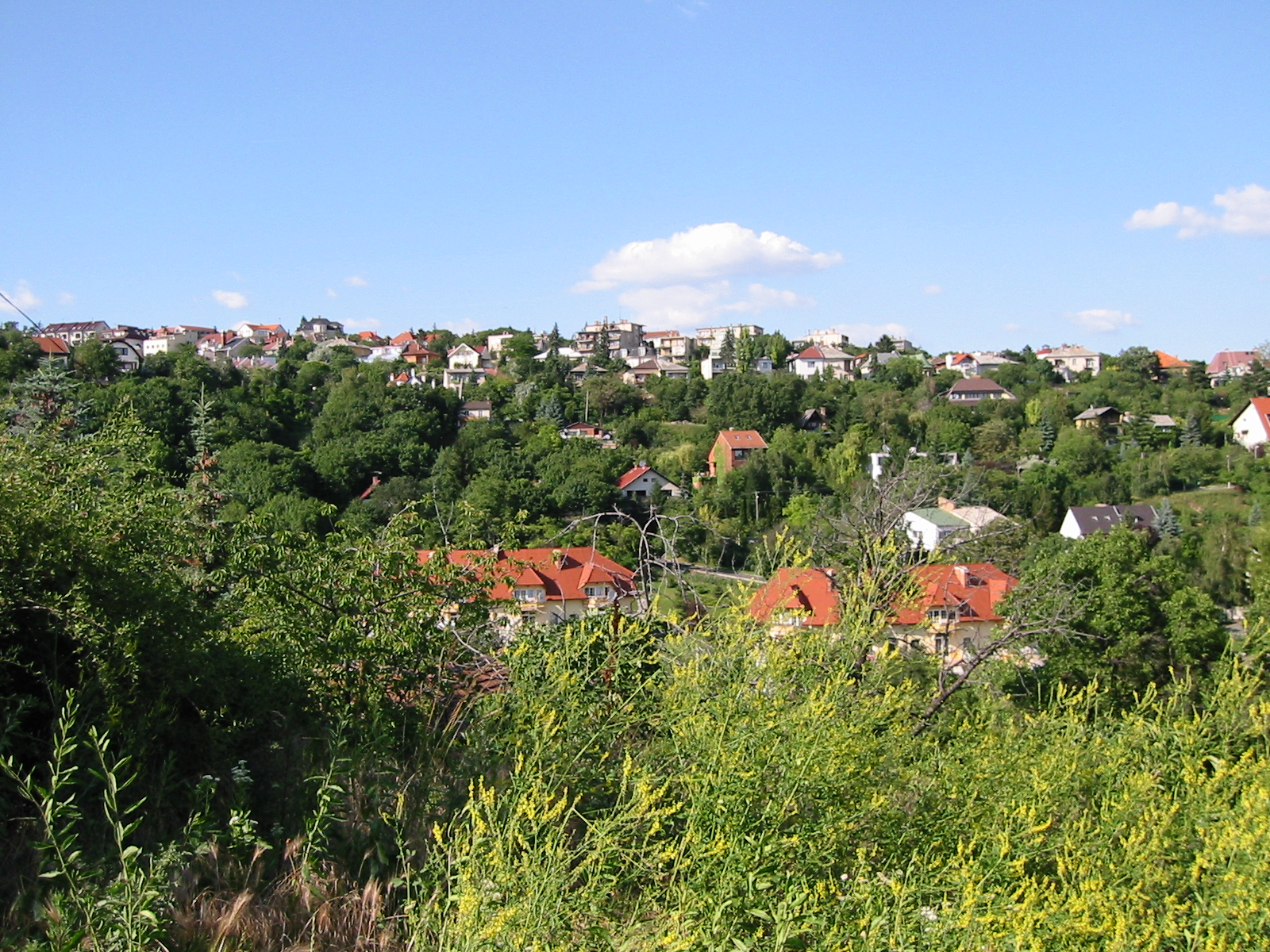 buda9.JPG